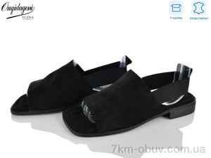 купить Dageni F2311-1 оптом