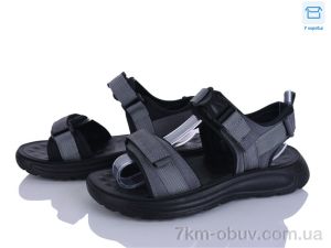 купить Clibee-ShoSho ZD2211-2 оптом