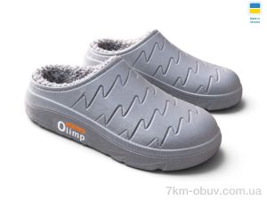 купить оптом Rai shoes СМ22 сірий