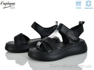 купить Dageni F231-1 оптом