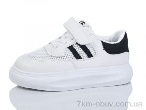 купить ASHIGULI 2081-5 оптом