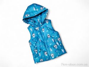 купить Kids-modnik 907 т.бірюзовий оптом