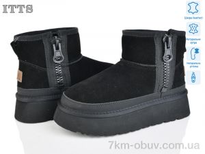 купить ITTS F248-1 оптом
