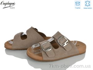купить Dageni C9420-5 оптом