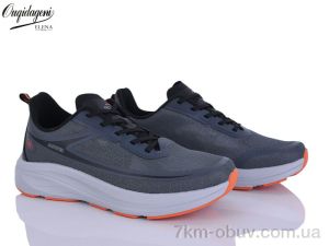 купить Dageni A2773-3 оптом