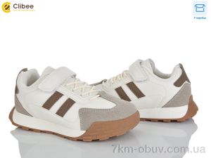 купить Clibee LC1180-4 оптом