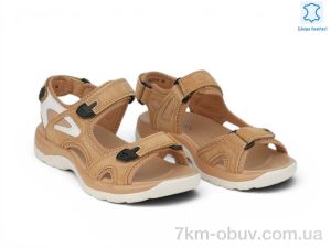 купить оптом Allshoes 208353