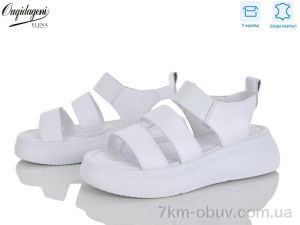 купить Dageni F233-2 оптом