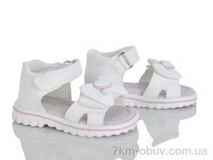 купить KIMBOO FG63-1C оптом