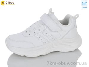 купить Clibee-Apawwa EC803-1 white оптом