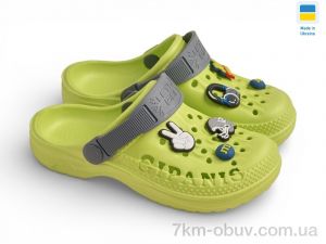 купить Rai shoes 009 салатовий оптом