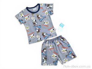 купить Kids-modnik 261920 комплект футболка-шорти т.сірий оптом