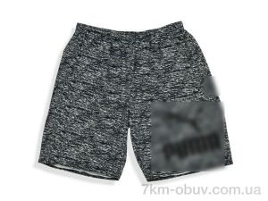 купить Денис спорт 003-1 navy оптом