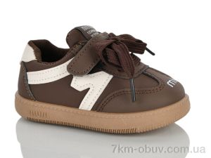 купить ASHIGULI 12-2 оптом