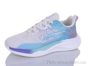 купить Ditof B0061-3 оптом