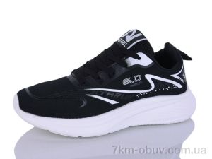 купить Ditof B0077-1 оптом