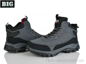 купить BIG A08996-5 оптом