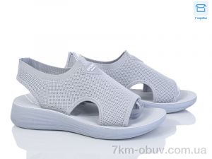 купить Moli L59-2 оптом