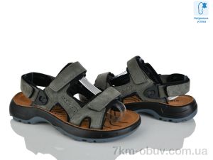 купить KIMBOO T62-4L оптом