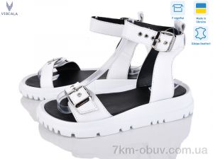 купить Viscala 23811 б.ш. оптом