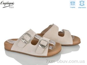 купить Dageni C9420-3 оптом