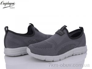 купить Dageni A2321-4 оптом