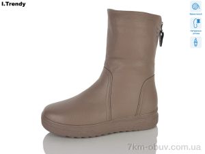 купить Trendy DH3930-3 оптом