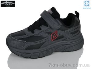 купить Baas K6627-2 оптом