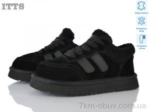 купить ITTS Q295-1 оптом