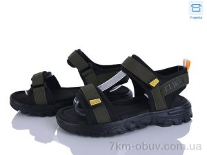 купить Clibee-ShoSho AC703-3 оптом
