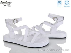 купить Dageni F201-2 оптом