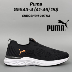 купить Classica G5543-4 оптом