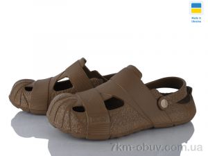 купить Golden Lion 528 коричневий оптом