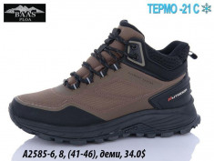 купить Baas A2585-6 оптом