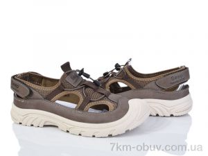 купить Baolikang Y308 brown оптом