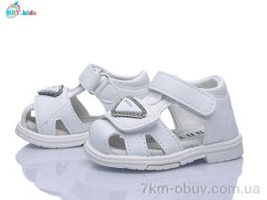 купить BBT L870-5-2 оптом