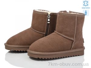 купить ITTS 7808-15 cream оптом