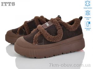 купить ITTS KT99-41 оптом