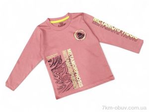 купить Kids-modnik 725 св.коричневий оптом