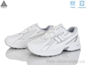 купить оптом STILLI Group N380-12 шкіра