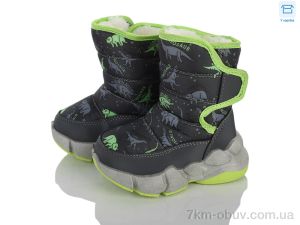 купить оптом Clibee-ShoSho HD01 green