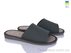 купить Golden Lion TS02 зелений оптом