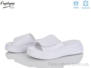 купить Dageni F223-2 оптом