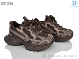 купить ITTS NB905-2 оптом
