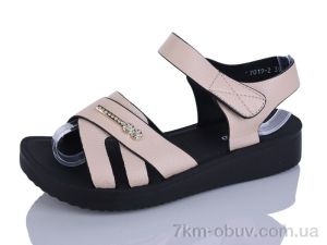 купить оптом Baolikang 7019-2