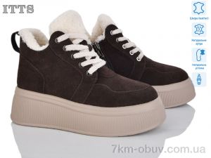 купить ITTS DD7576-41 оптом