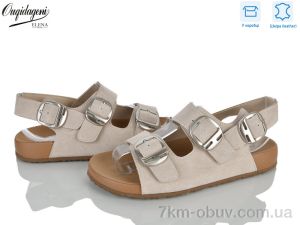 купить оптом Dageni C9421-3