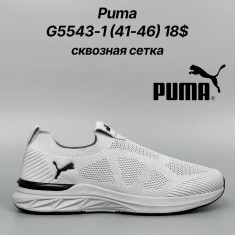 купить Classica G5543-1 оптом