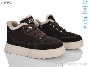 купить ITTS DD7632-41 оптом