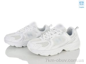 купить Ledicai R116-5 оптом